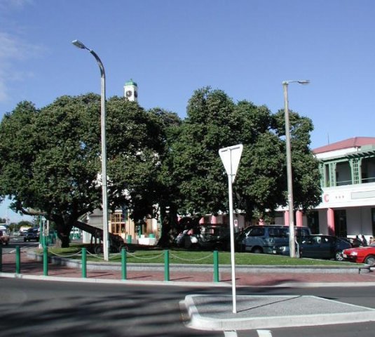 napier4